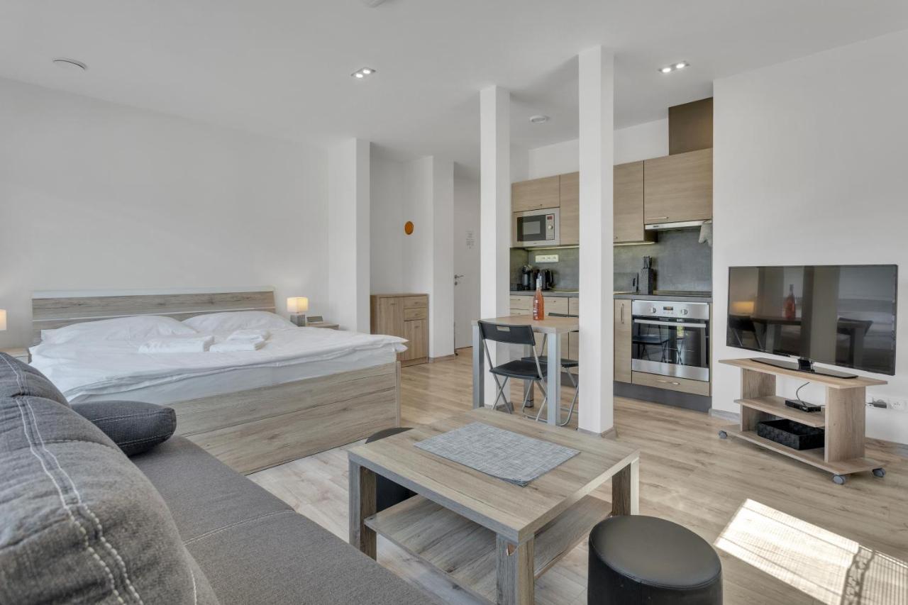 Family Apartments Klinovec Loučná pod Klínovcem エクステリア 写真