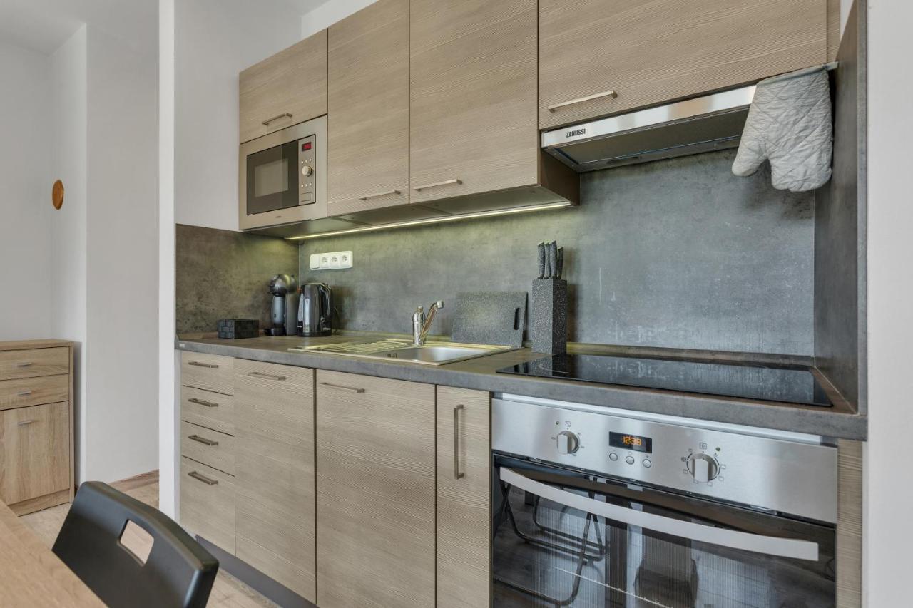 Family Apartments Klinovec Loučná pod Klínovcem エクステリア 写真