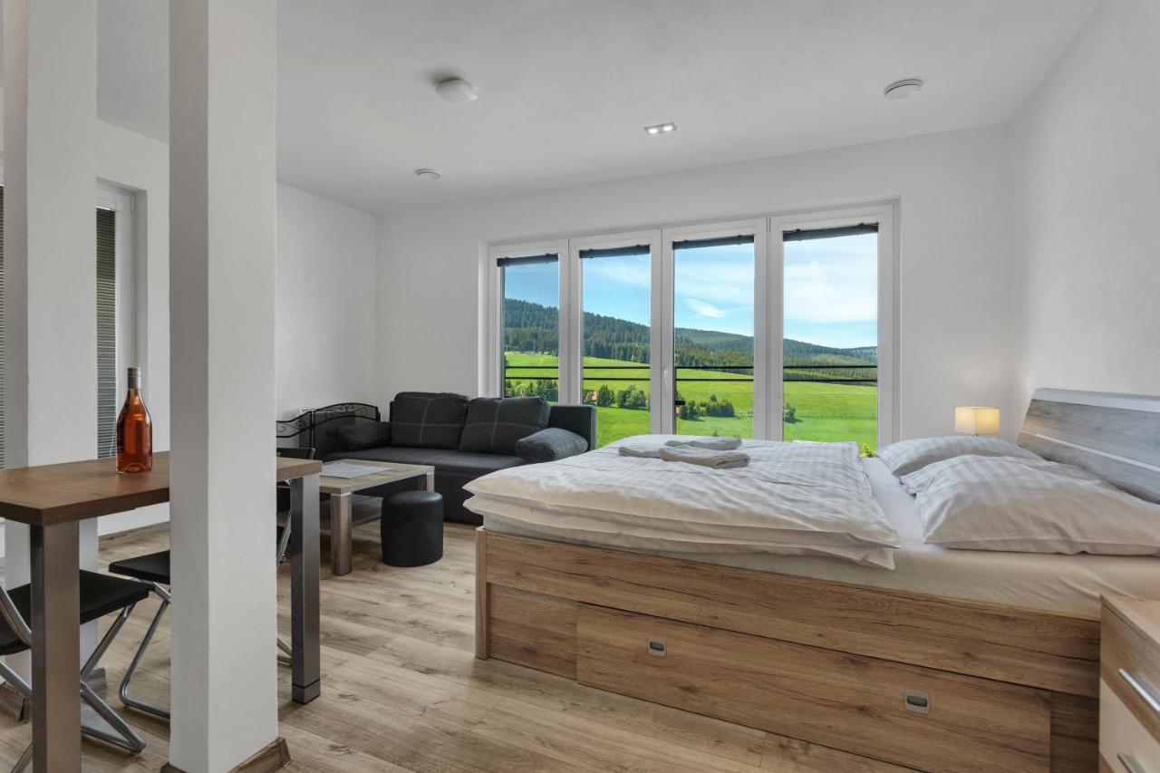 Family Apartments Klinovec Loučná pod Klínovcem エクステリア 写真