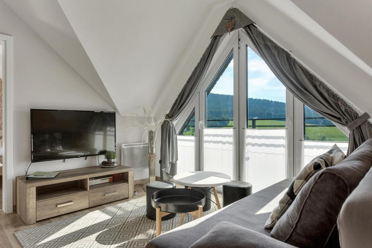Family Apartments Klinovec Loučná pod Klínovcem エクステリア 写真