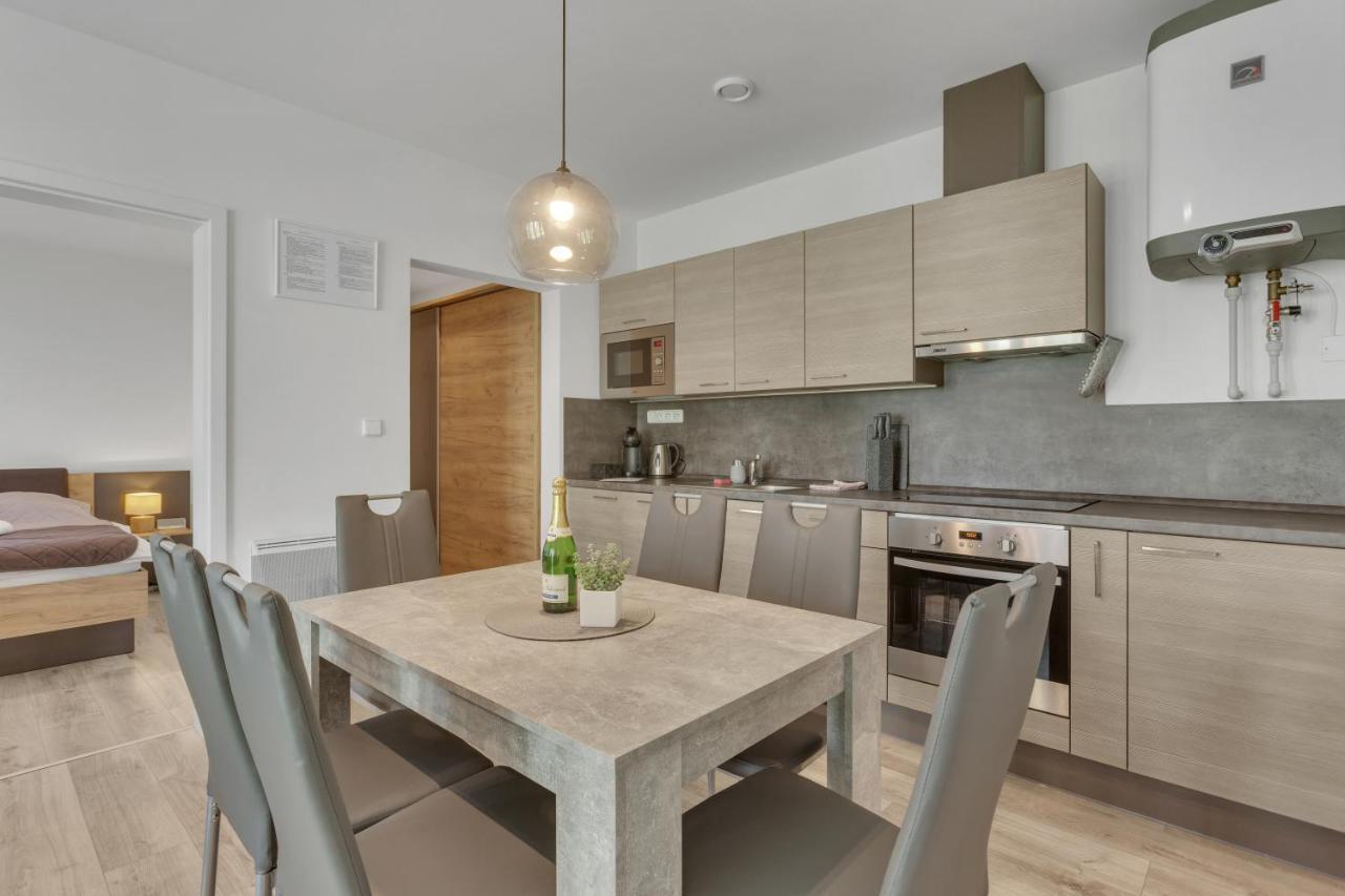 Family Apartments Klinovec Loučná pod Klínovcem エクステリア 写真