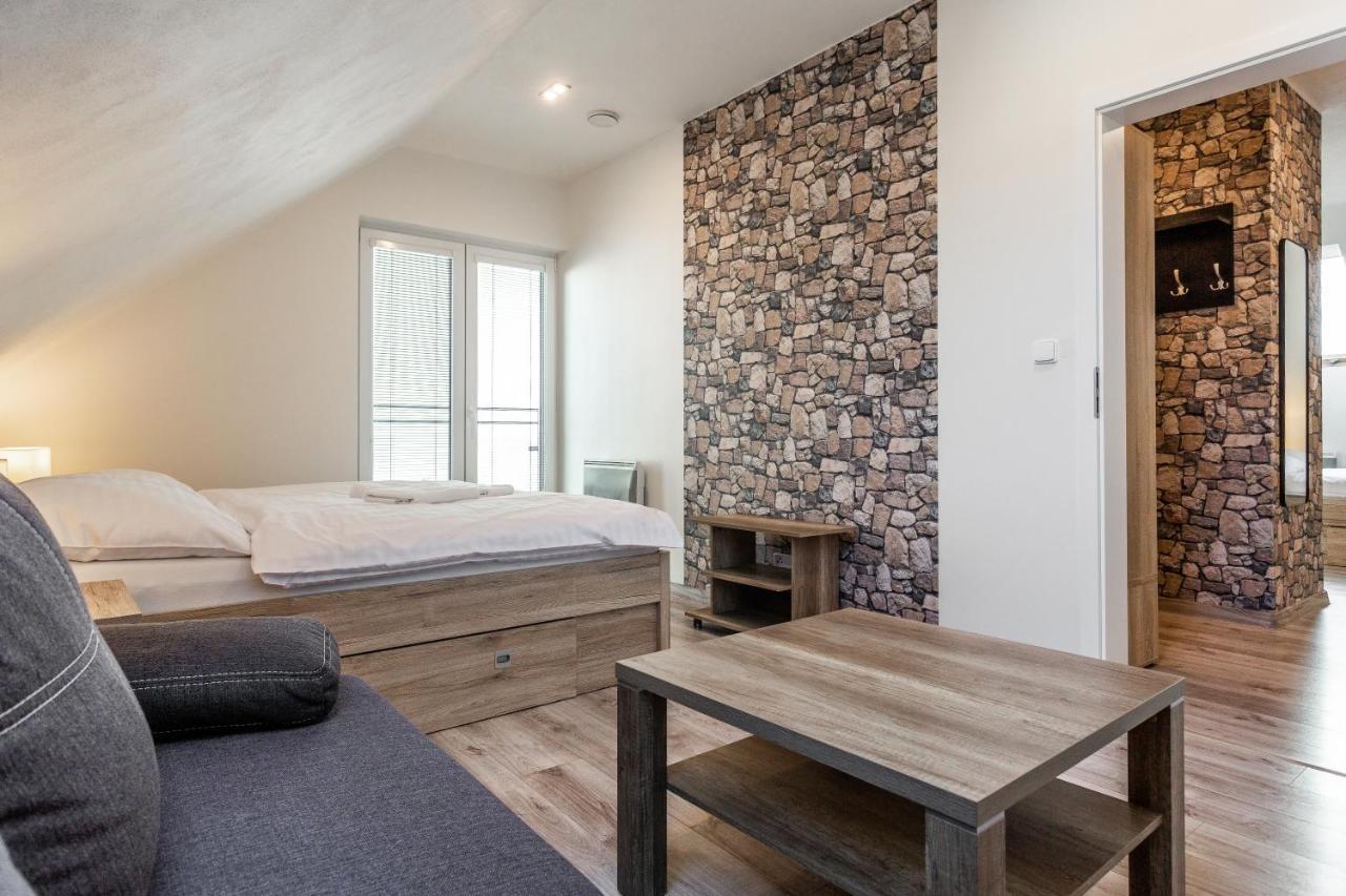 Family Apartments Klinovec Loučná pod Klínovcem エクステリア 写真