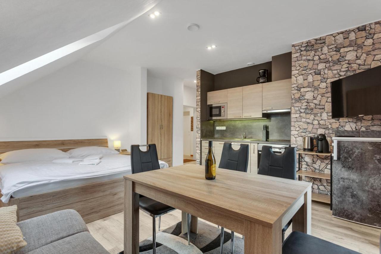 Family Apartments Klinovec Loučná pod Klínovcem エクステリア 写真