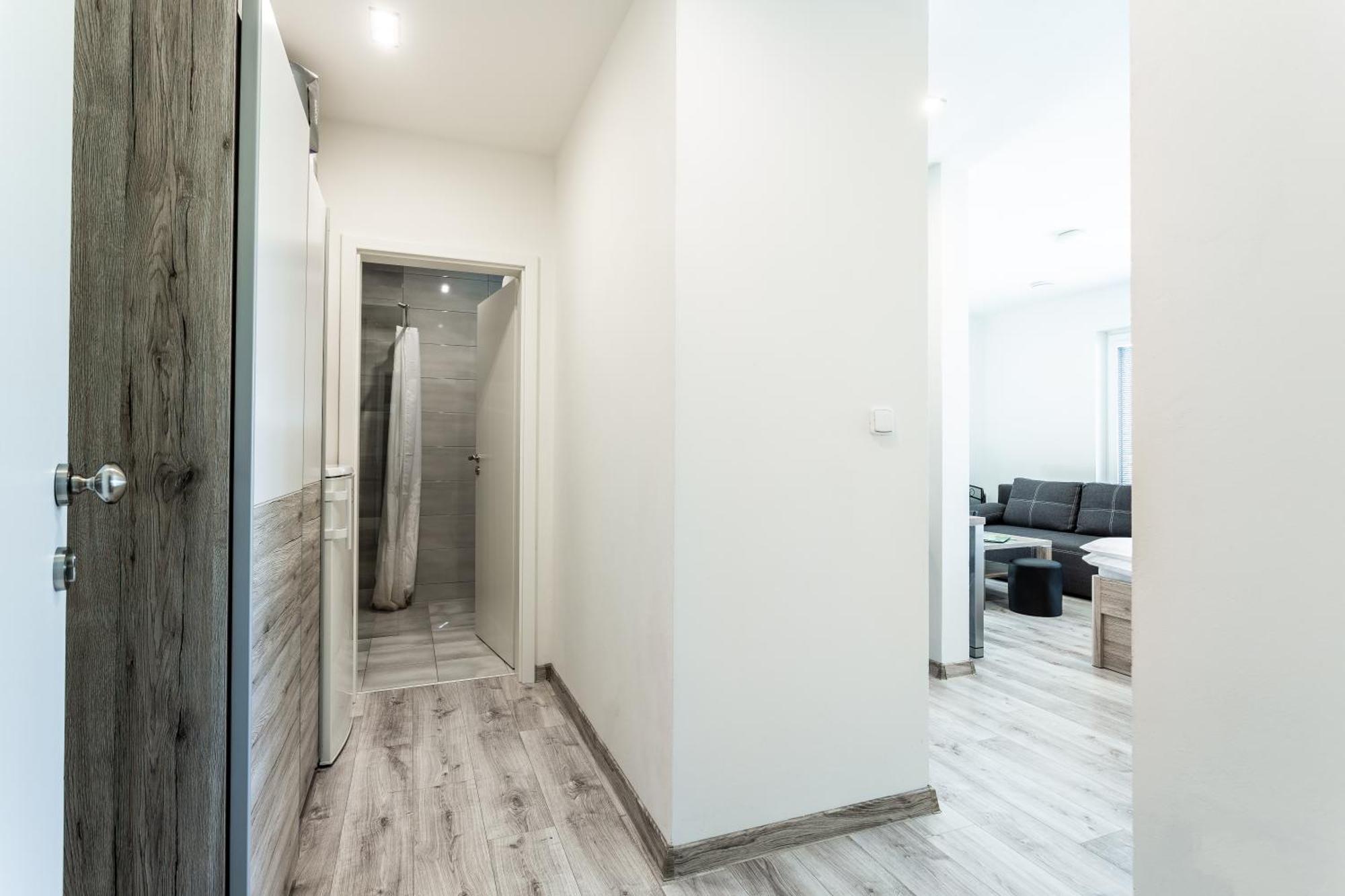 Family Apartments Klinovec Loučná pod Klínovcem 部屋 写真