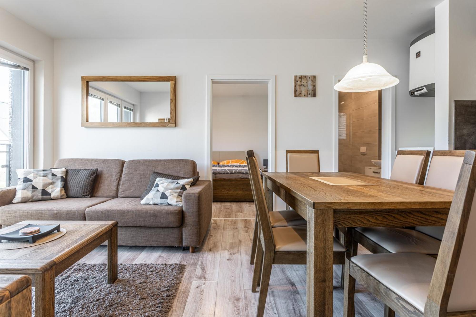 Family Apartments Klinovec Loučná pod Klínovcem 部屋 写真