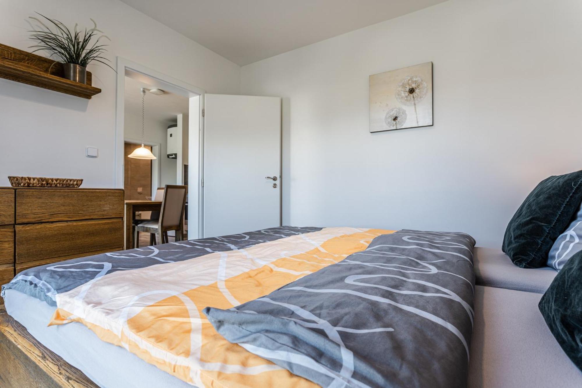 Family Apartments Klinovec Loučná pod Klínovcem 部屋 写真